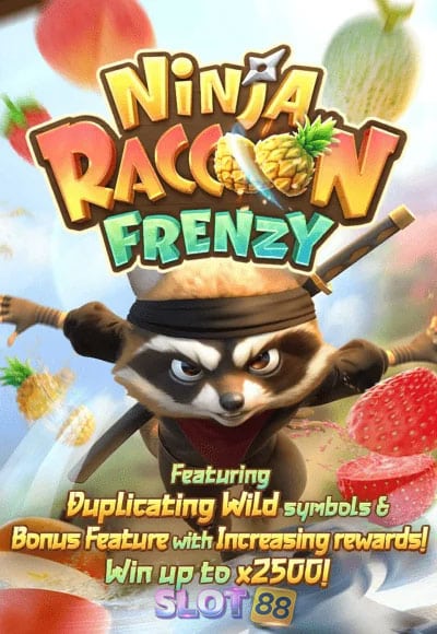 NINJA-RACCOON-FRENZY