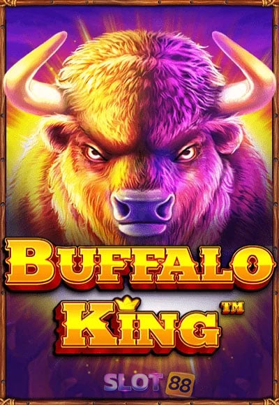 buffalo-king