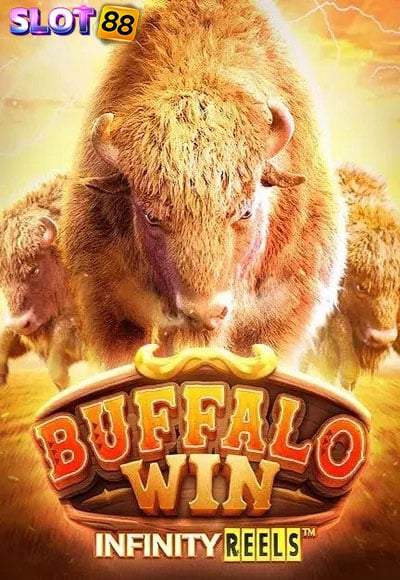 BuffaloWin