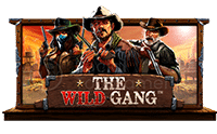 The Wild Gang